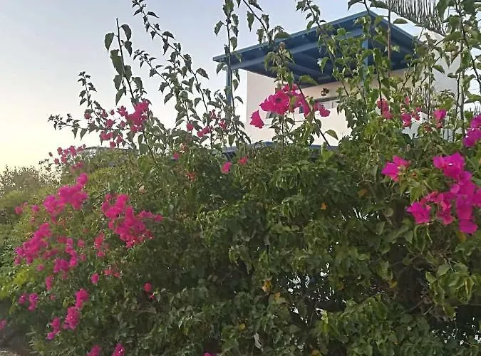 Nefeli In Blue * Плака