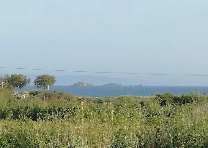 Nefeli In Blue Плака